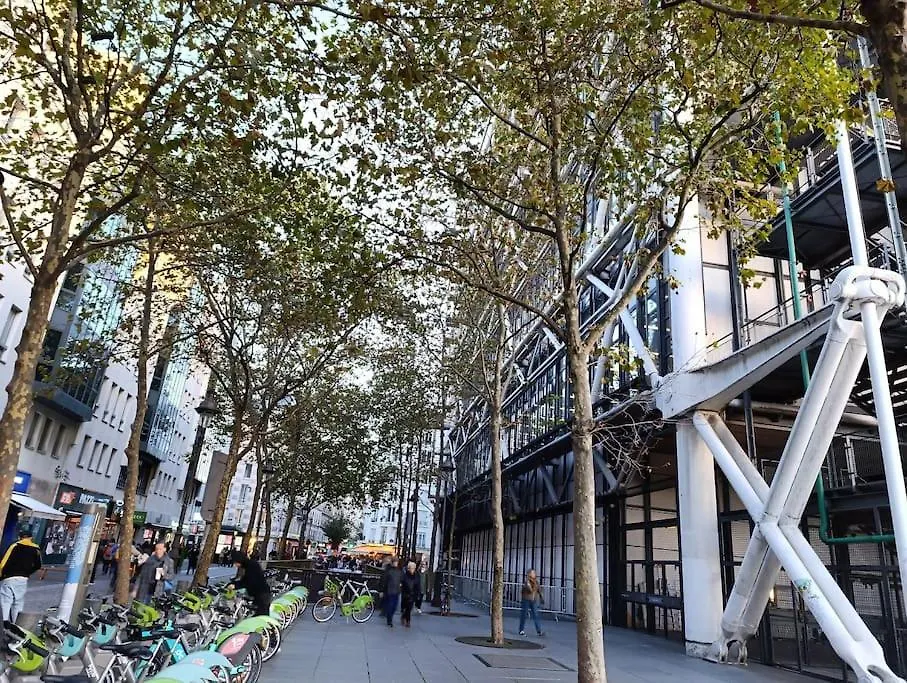 Flat 31M2 Near Pompidou Center, Marais, Les Halles, Mobility Lease Only Parigi